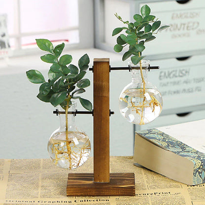 Transparent Bulb Planter with Natural Wood Base for Hydroponics & Fresh Cuttings | Tabletop Desktop Display Stand | Minimalist Home Office D