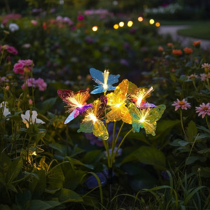 BUTTERFLYLIVA – Solar Butterfly Fiber Optic Garden Lights