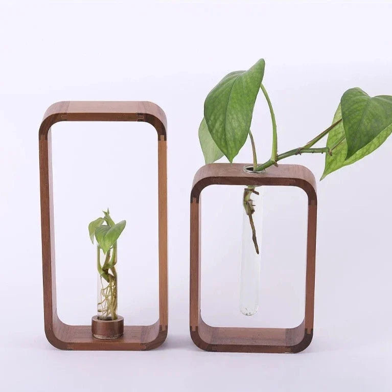Tabletop Hydroponic Vase for Rooting Cuttings Clear Glass Wood Stand Water Propagation Station Indoor Herb Garden Windowsill Planter
