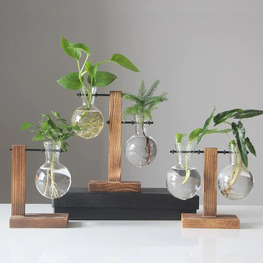 Transparent Bulb Planter with Natural Wood Base for Hydroponics & Fresh Cuttings | Tabletop Desktop Display Stand | Minimalist Home Office D