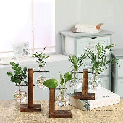 Transparent Bulb Planter with Natural Wood Base for Hydroponics & Fresh Cuttings | Tabletop Desktop Display Stand | Minimalist Home Office D