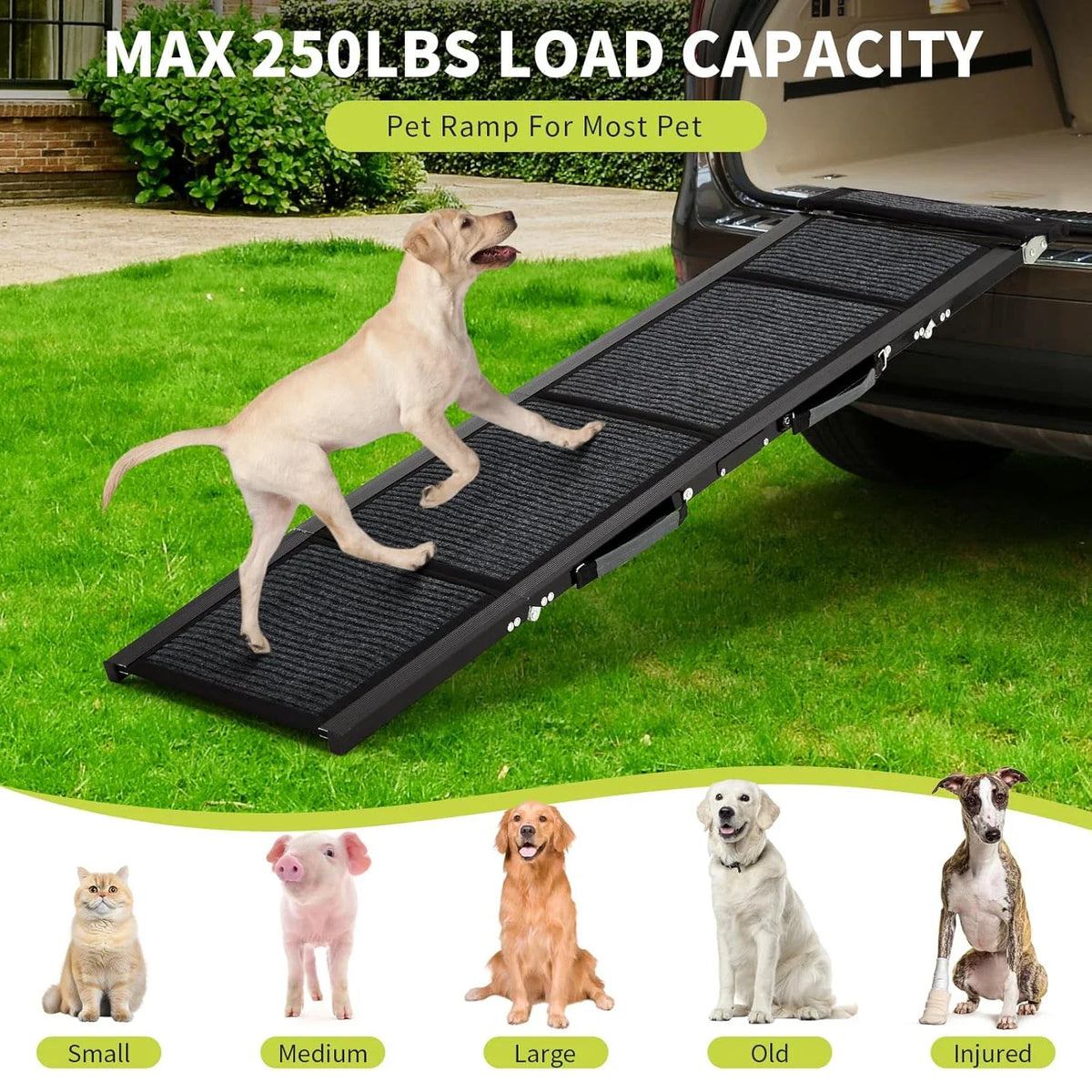 Dog Ramp for Bed and Car, Folding Dog Ramp with Non Slip Surface, Portable Dog Ramp for Couch and SUV