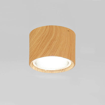 Adjustable Cylinder Spotlight – Surface Mount LED Ceiling Light – Directional Accent Fixture for Living Room, Hallway & Kitchen – Modern
