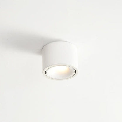 Low-Profile Aluminum LED Ceiling Fixture 3.7 Inch Round 12W Contemporary Overhead Lighting Hallway Bedroom Entryway Living Space