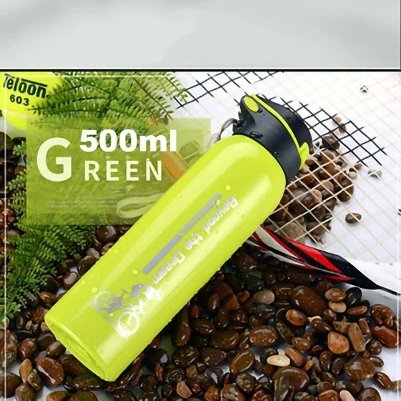 Insulated Stainless Steel Water Bottle with Sport Cap & Carry Loop – 17 oz Double Wall Bike Bottle for Cycling, Commuting & Outdoor Sports
