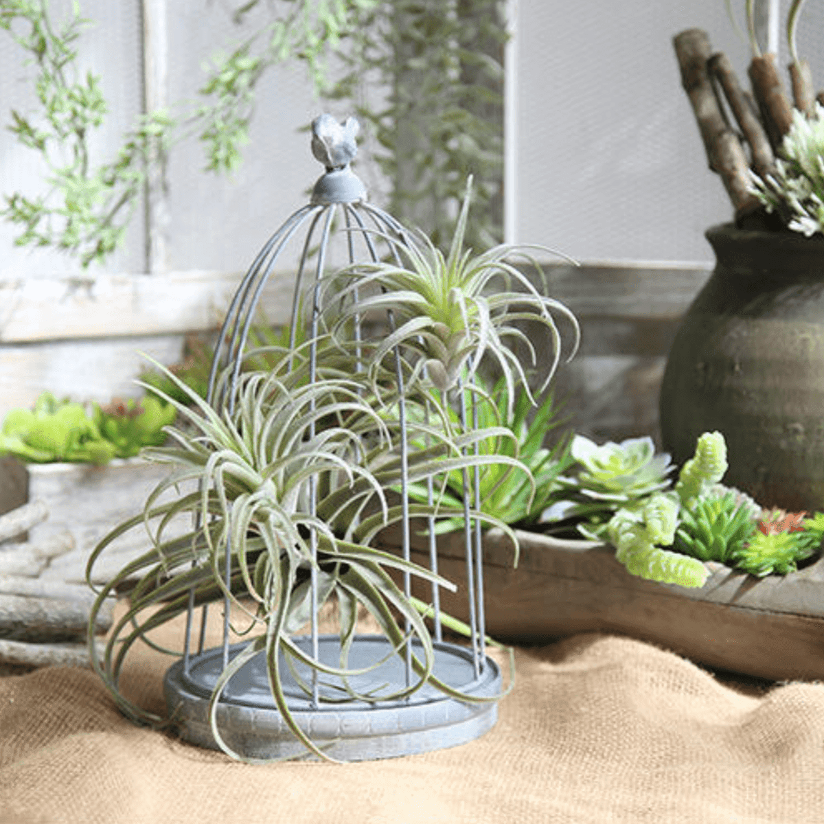 Artificial Air Plant