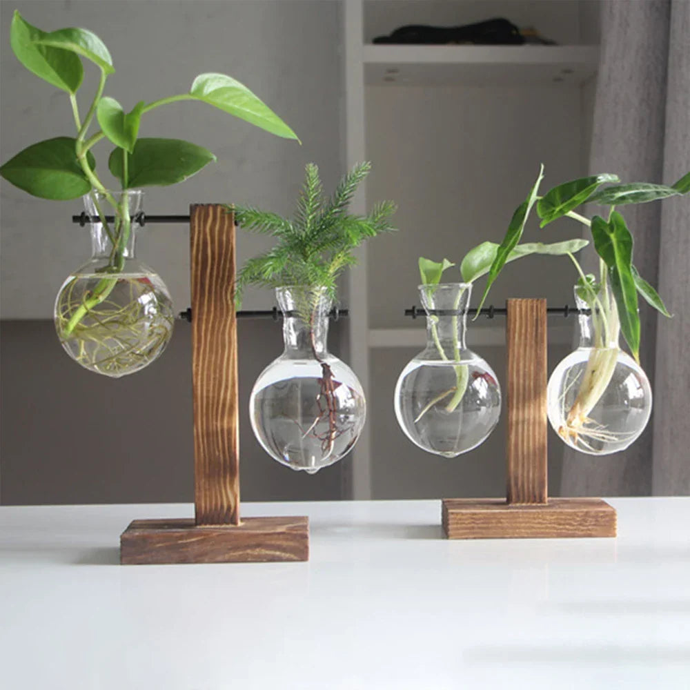 Transparent Bulb Planter with Natural Wood Base for Hydroponics & Fresh Cuttings | Tabletop Desktop Display Stand | Minimalist Home Office D