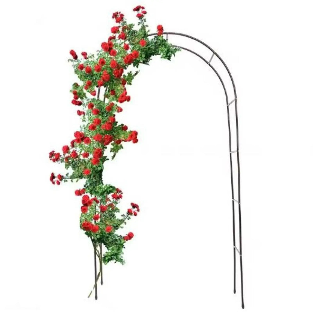 Metal Arbor for Climbing Roses and Vines Gothic Style 94.5 in Tall Outdoor Walkway Structure for Garden Pathways Weddings Patio Entrances