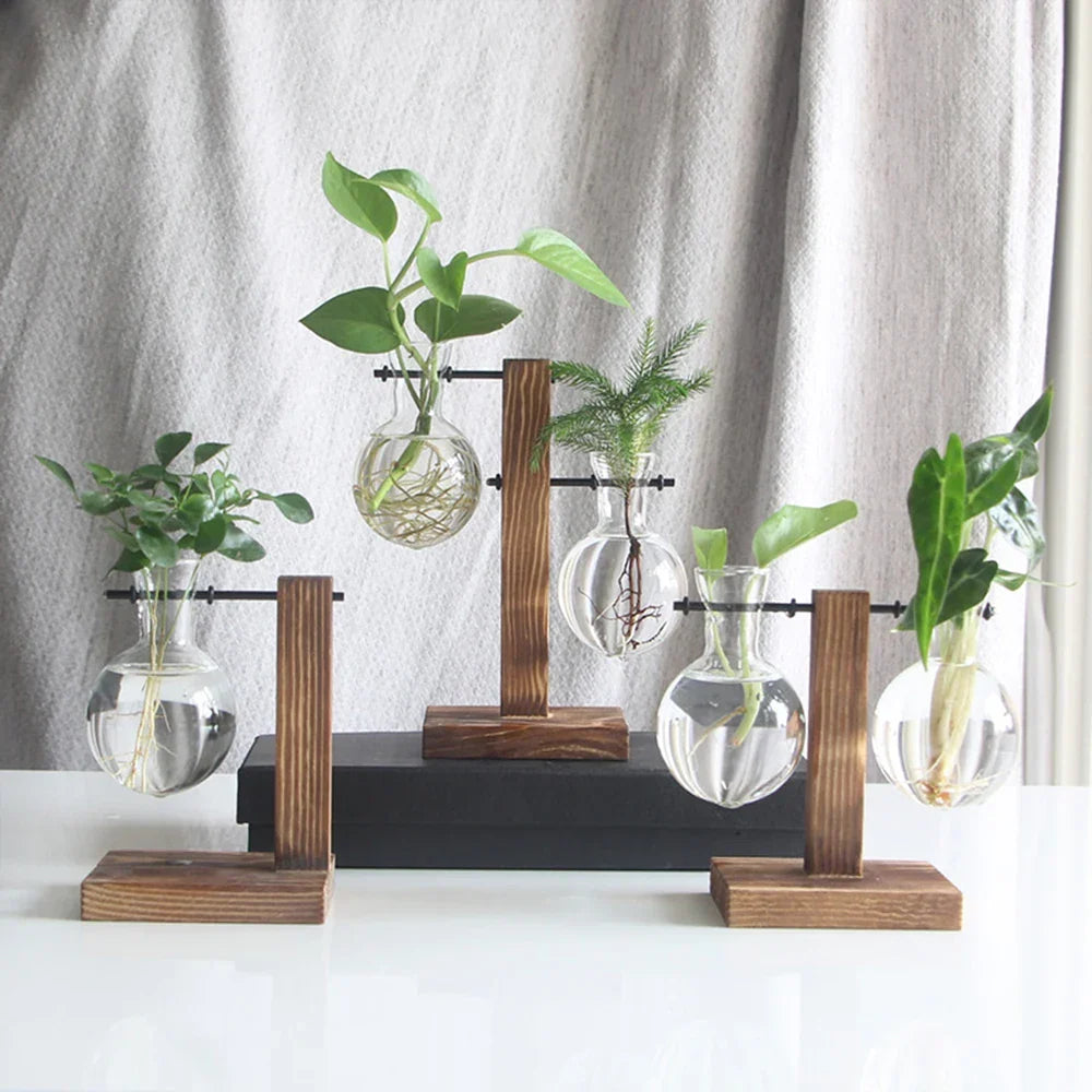 Transparent Bulb Planter with Natural Wood Base for Hydroponics & Fresh Cuttings | Tabletop Desktop Display Stand | Minimalist Home Office D