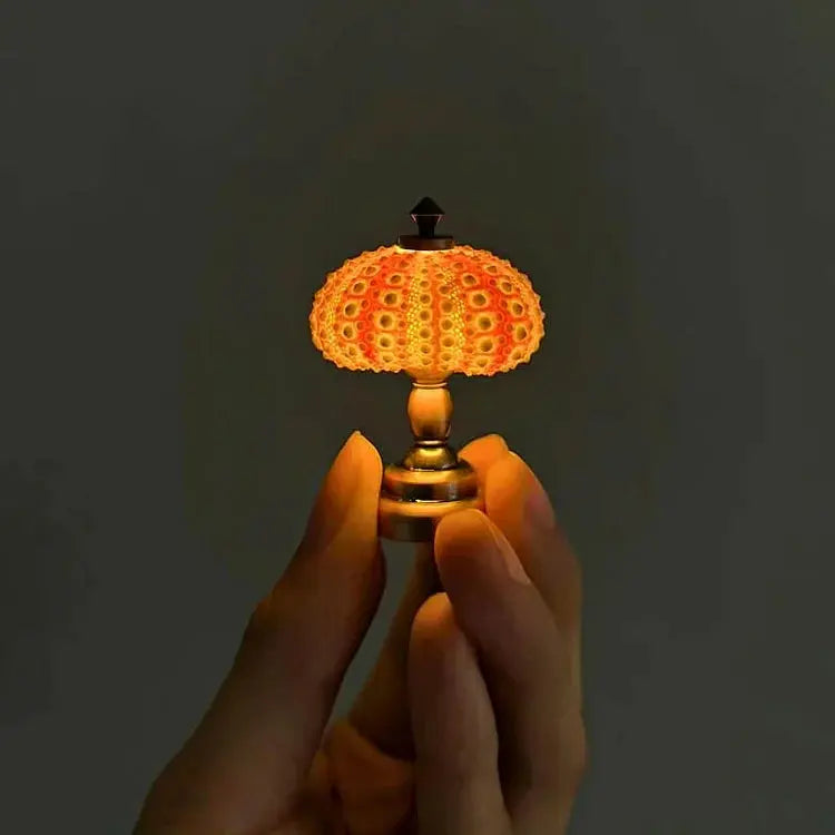Sea Urchin Accent Night Light with Soft Ambient Glow for Bedroom Nightstand Living Room Coastal Decor Organic Shell Lamp