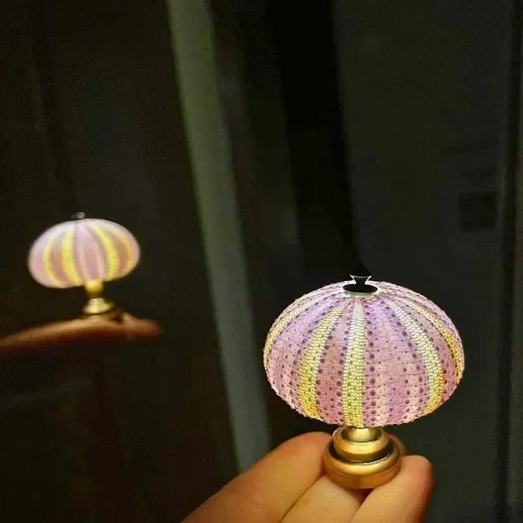 Sea Urchin Accent Night Light with Soft Ambient Glow for Bedroom Nightstand Living Room Coastal Decor Organic Shell Lamp