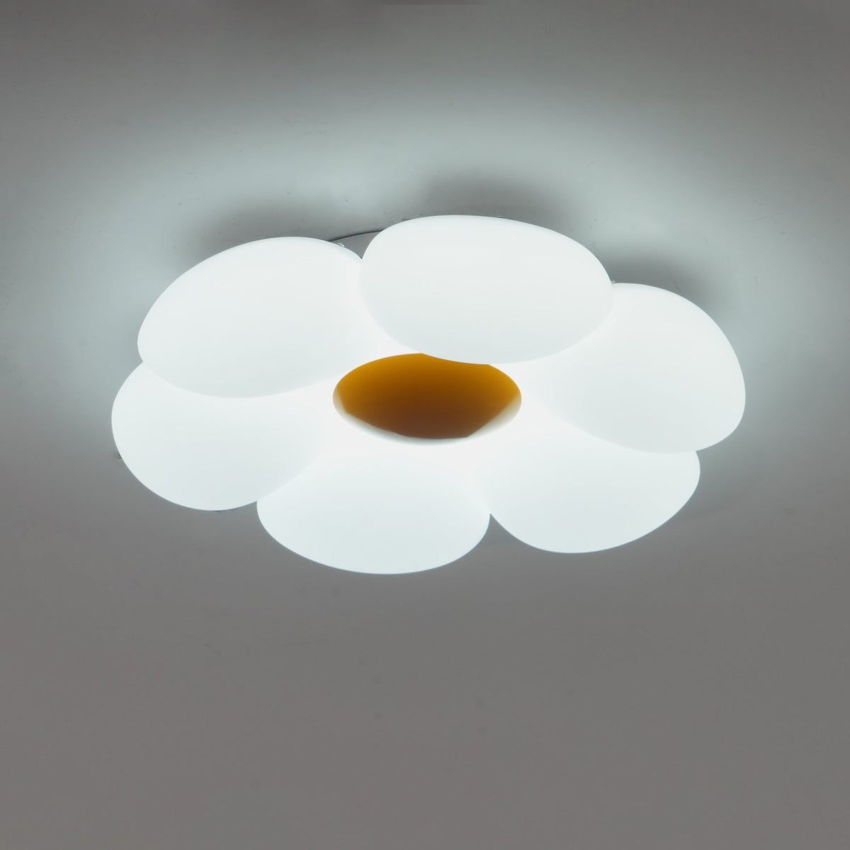 Flush Mount LED Ceiling Light 20 in Diameter Metal Acrylic Fixture for Bedrooms Dining Rooms Living Spaces Low Profile Modern Overhead Light