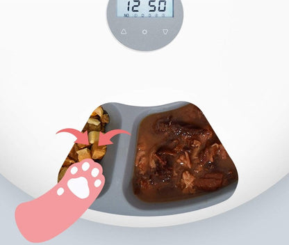Smart Automatic Feeder | Automatic Pet Feeder with Six Meal Compartments | Convenient Feeding Solution for Cats and Dogs