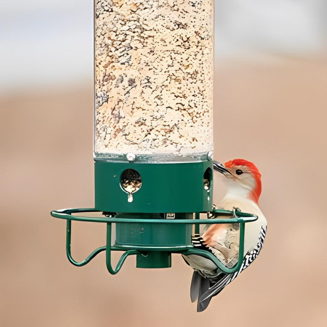 Outdoor Hanging Bird Feeder with Weight-Activated Critter Protection for Backyard Songbirds | Multi-Port Metal Seed Dispenser for Cardinals