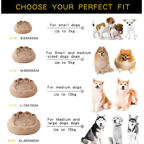 Felicity Paw Dog Bed - Plush Fabric, Raised Edges for Comfort