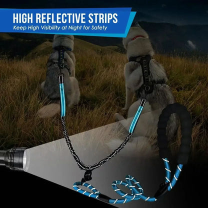 Dual Dog Leash with 360° Swivel and Shock Absorption Feature