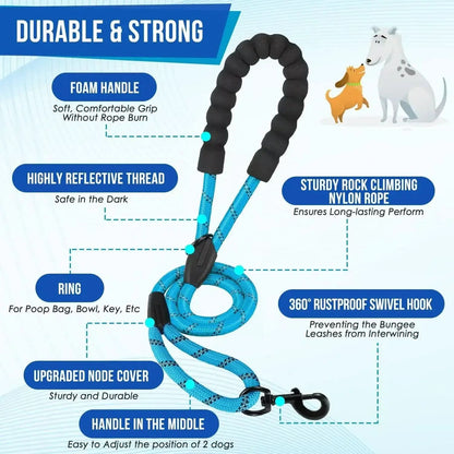 Dual Dog Leash with 360° Swivel and Shock Absorption Feature