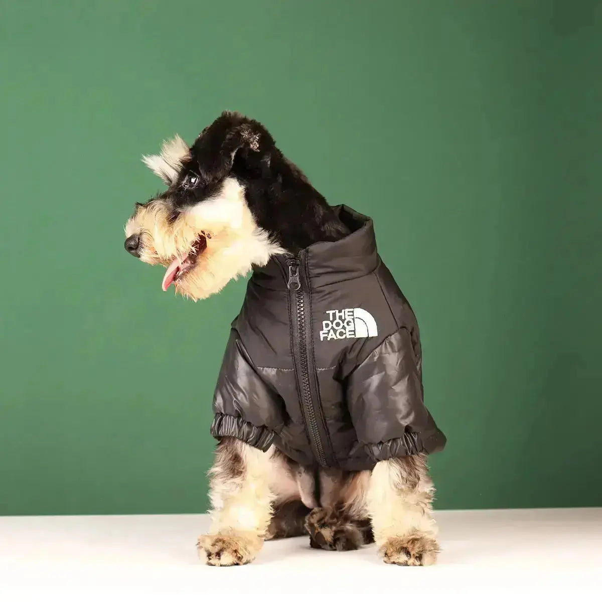 Insulated Windproof Dog Winter Coat with Soft Fleece Lining for Cold Weather Protection, Outdoor Walks & Active Play