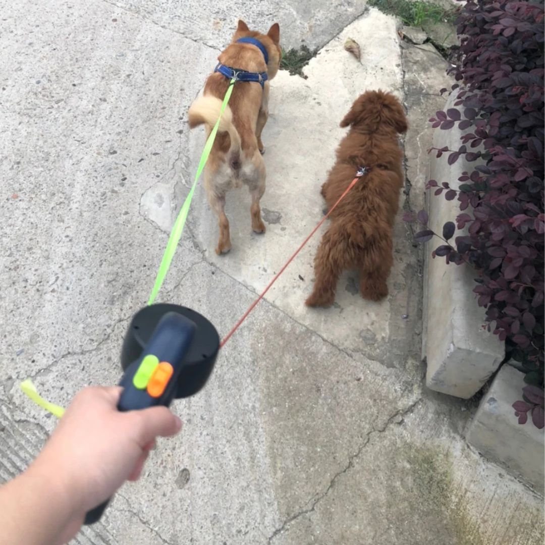 Dual Retractable Dog Leash with Built-In Flashlight & Waste Bag Holder for Two Dogs Walking