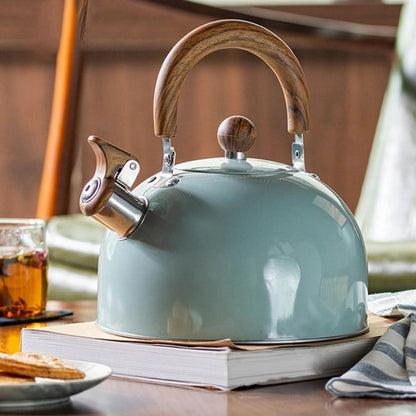 Stainless Steel Stovetop Tea Kettle with Whistle 3 Quart Capacity Fast Boil Heat Safe Handle for Gas Induction Electric Stove Kitchen Hot Wa