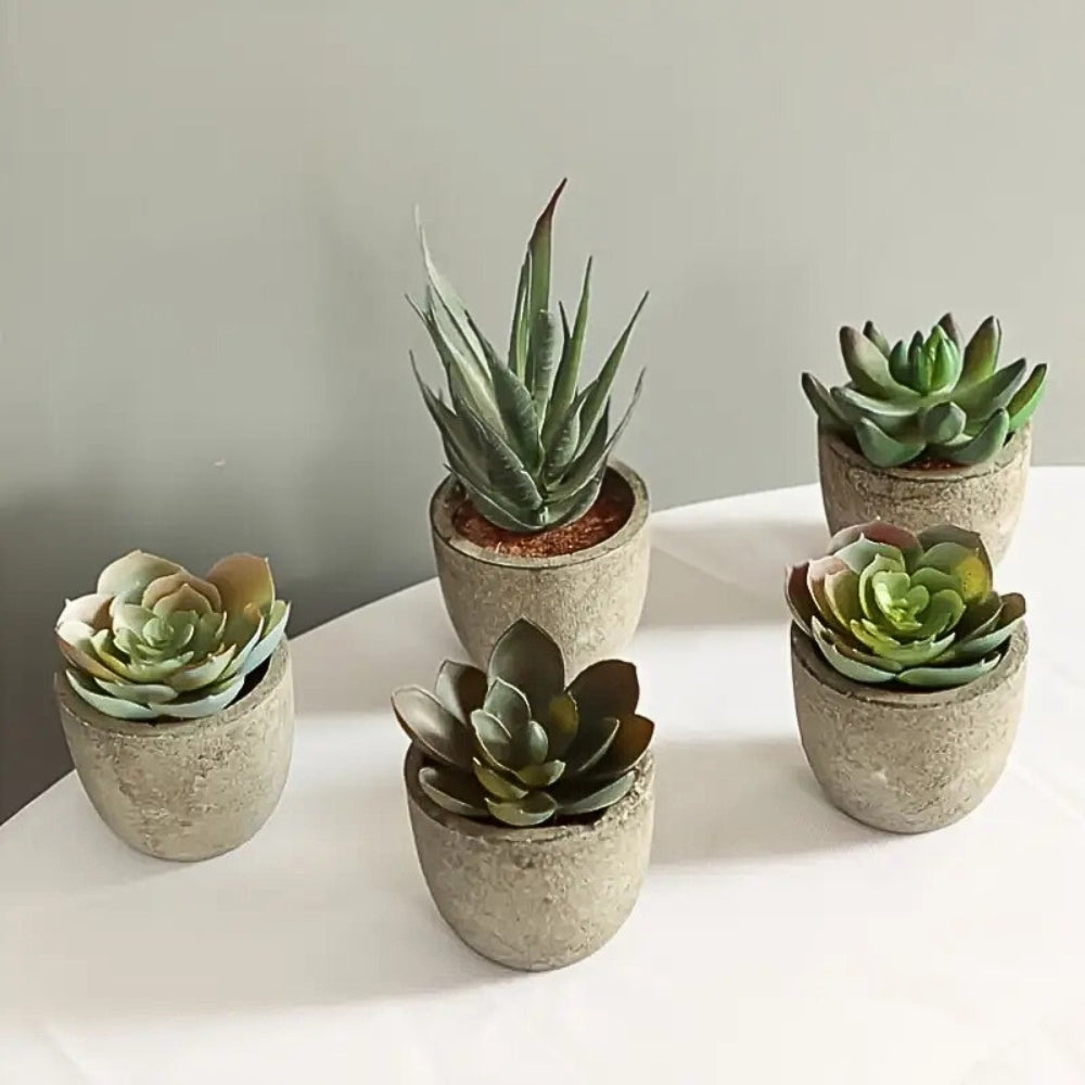 Verdea Artificial Succulent Plant - Realistic Faux Greenery, Rustic Pot
