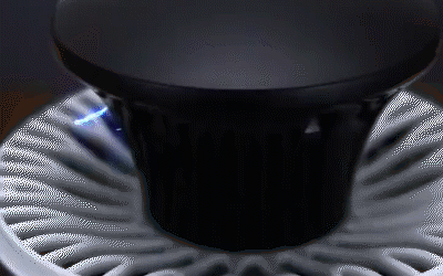 Silent Guardian Mosquito Zapper with UV Light Technology