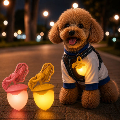 Ortekor AcornGlow USB-C Rechargeable Pet Safety Light for Night Walks - Clip-On Acorn LED Charm for Collars, Harnesses & Leashes to Help Dogs Stay Visible After Dark