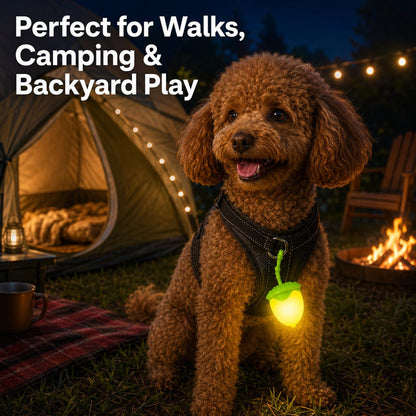Ortekor AcornGlow USB-C Rechargeable Pet Safety Light for Night Walks - Clip-On Acorn LED Charm for Collars, Harnesses & Leashes to Help Dogs Stay Visible After Dark