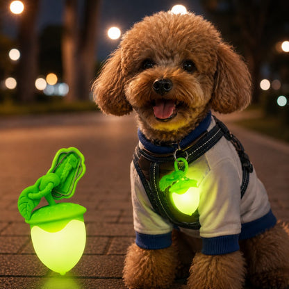 Ortekor AcornGlow USB-C Rechargeable Pet Safety Light for Night Walks - Clip-On Acorn LED Charm for Collars, Harnesses & Leashes to Help Dogs Stay Visible After Dark