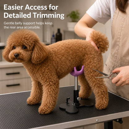 Ortekor Adjustable Dog Grooming Support Stand for Small Dogs – Helps Reduce Sitting During Trimming, Brushing & Drying