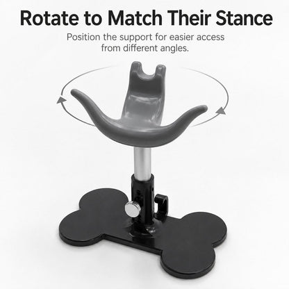 Ortekor Adjustable Dog Grooming Support Stand for Small Dogs – Helps Reduce Sitting During Trimming, Brushing & Drying