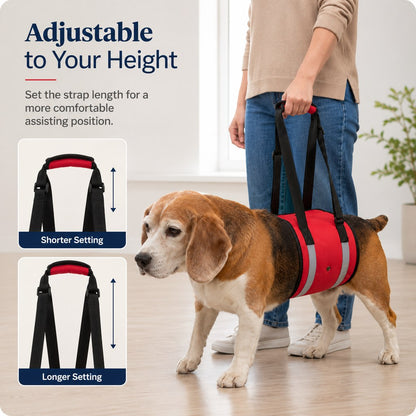 Ortekor Reflective Dog Lift Support Sling - Belly Assist for Dogs with Limited Mobility on Stairs, Walks & Car Entry