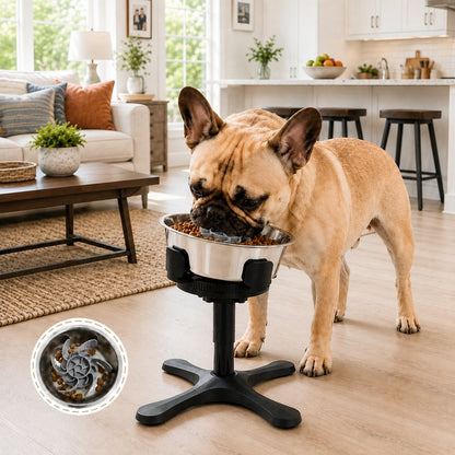 Ortekor French Bulldog Adjustable Elevated Tilted Dog Bowl for Kitchen Feeding Corners - 3-Height Stand with Slow Feeder Insert to Reduce Neck Bending & Mess