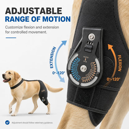 Ortekor Adjustable Hinged Dog Knee Brace for Daily Walks - Rear Leg Support for Unsteady Steps