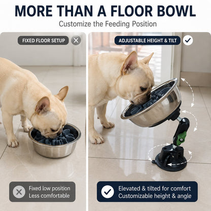 Ortekor Adjustable Suction-Mount Slow Feeder Bowl for French Bulldogs, Cats & Small-to-Medium Dogs - Floor or Vertical Setup Helps Reduce Sliding