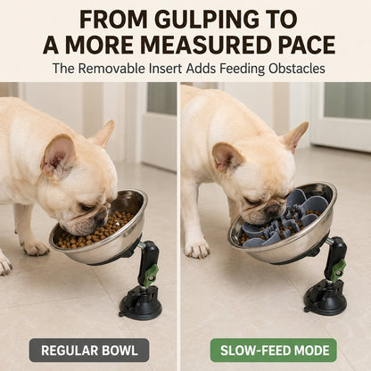 Ortekor Adjustable Suction-Mount Slow Feeder Bowl for French Bulldogs, Cats & Small-to-Medium Dogs - Floor or Vertical Setup Helps Reduce Sliding