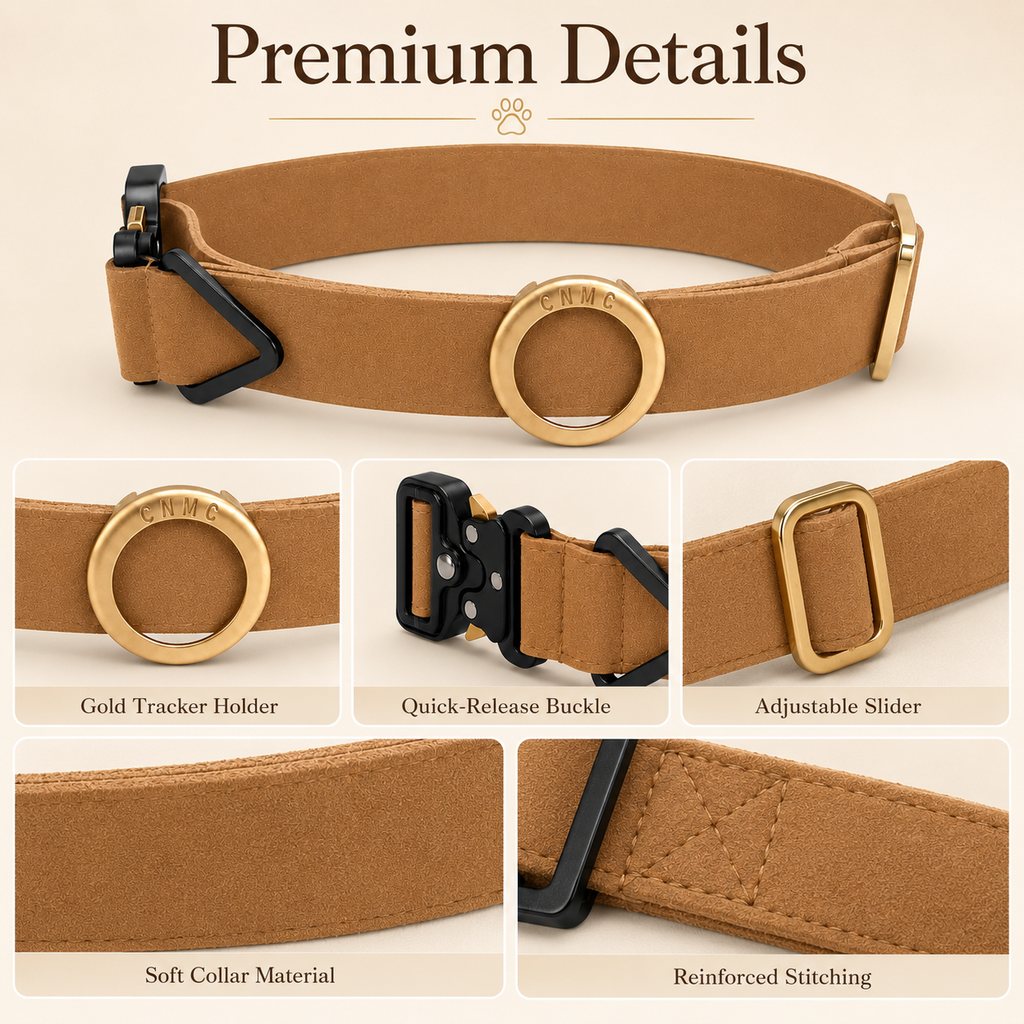 Ortekor AirTag-Compatible Pet Collar Holder for Cats & Small Dogs - No-Dangle Tracker Protection for Home, Walks & Everyday Pet Safety