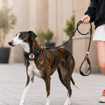 Ortekor Anti-Choke Dog Leash for Everyday Walks - Padded Neck Protection & Better Control for Pullers