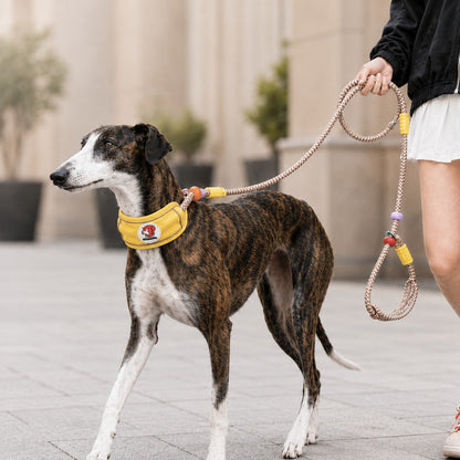 Ortekor Anti-Choke Dog Leash for Everyday Walks - Padded Neck Protection & Better Control for Pullers