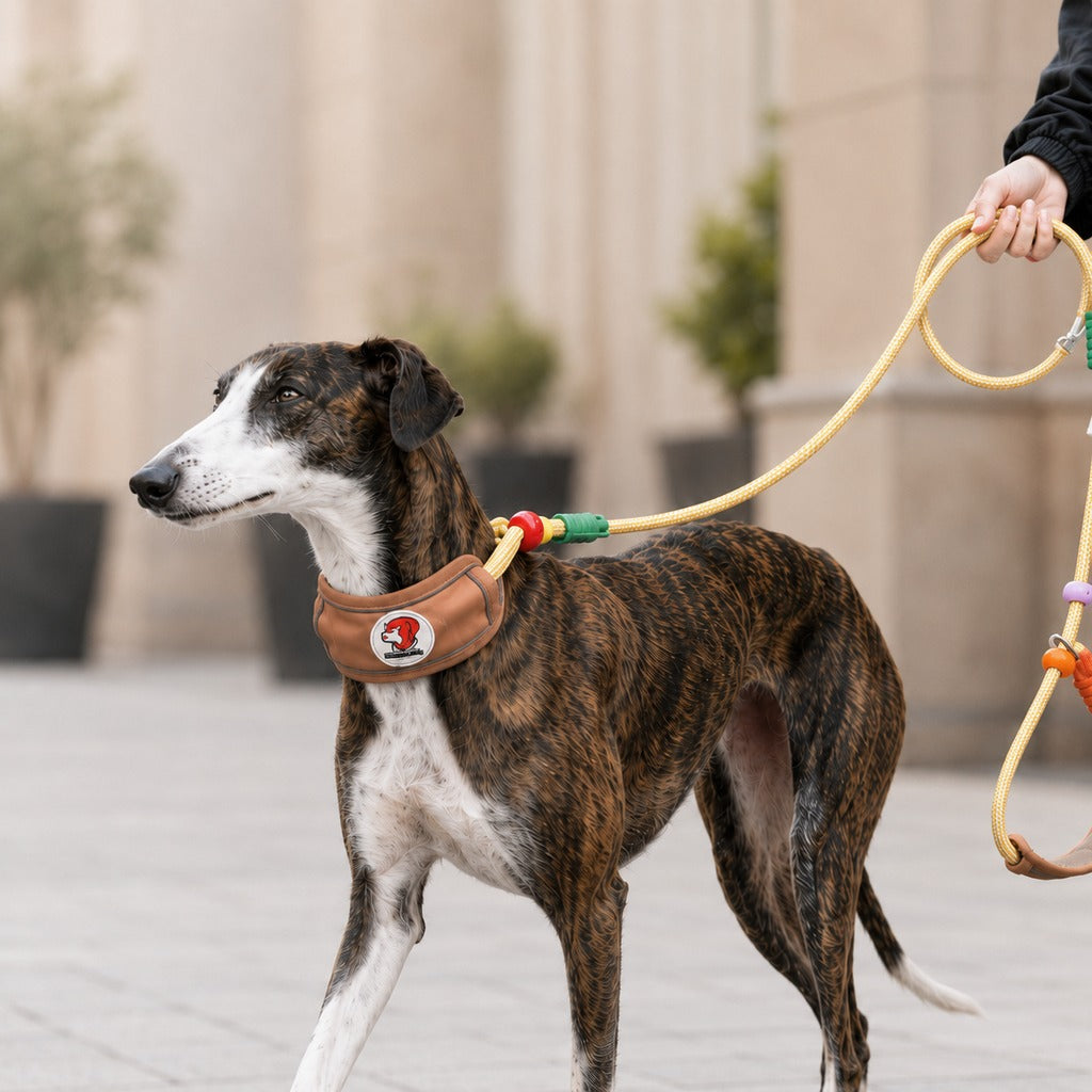 Ortekor Anti-Choke Dog Leash for Everyday Walks - Padded Neck Protection & Better Control for Pullers