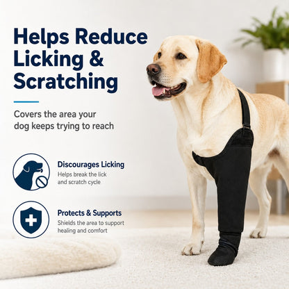 Ortekor Dog Front Leg Protective Sleeve for Recovery & Walks - Helps Reduce Licking