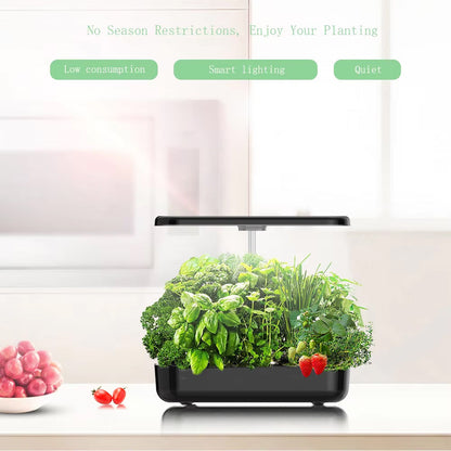 12-Pod Hydroponic Growing System with LED Grow Light for Kitchen Counter Herbs & Vegetables