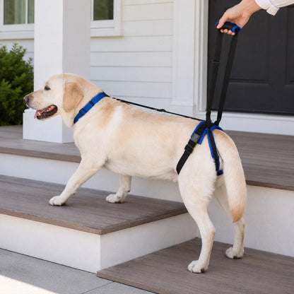 Ortekor Adjustable Dog Rear Lift Support Harness - Hind Leg Assistance for Stairs, Car Entry & Daily Walks