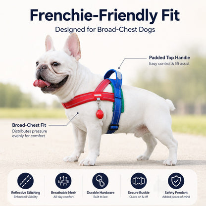 Ortekor No-Choke French Bulldog Harness & Leash Set for Daily Walks - Reflective, Easy-Control Fit for Broad-Chest Dogs
