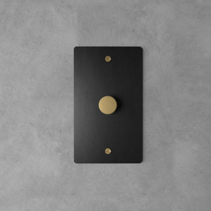 Rotary Light Dimmer Switch with Brass Knob for Stepless Brightness Adjustment in Living Room Bedroom Hallway Contemporary Wall-Mounted Panel