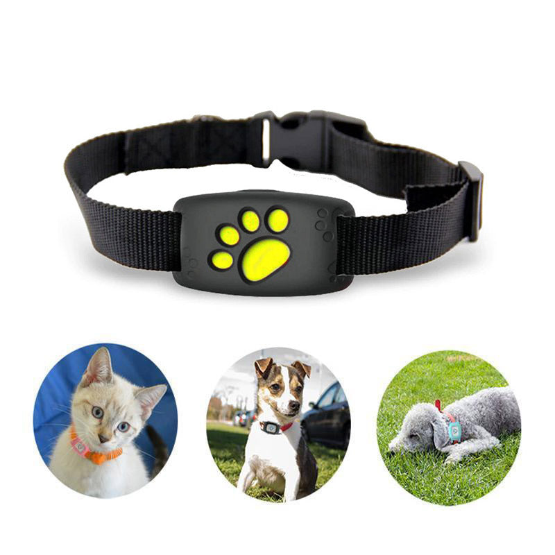 GPS Pet Tracker Collar for Cats & Small Dogs with Real-Time Location Monitoring, Geo-Fence Alerts, IP67 Waterproof Design