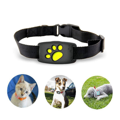 GPS Pet Tracker Collar for Cats & Small Dogs with Real-Time Location Monitoring, Geo-Fence Alerts, IP67 Waterproof Design