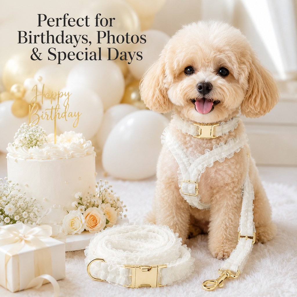 Ortekor Boutique Lace Dog Harness, Collar & Leash Set for Birthday Photos & Daily Walks - 3-Piece Ruffle Walking Set