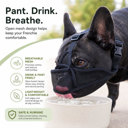 Ortekor French Bulldog Breathable Mesh Muzzle for Walks, Grooming & Scavenging Control - Drink-Friendly Short-Snout Dog Muzzle