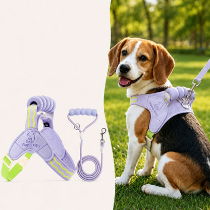 Ortekor Breathable Padded Dog Harness & Leash Set for Daily Walks - Easy-Control Vest for Small & Medium Dogs